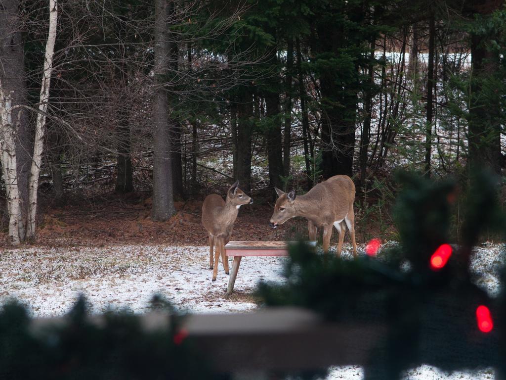 Gite Crystal Inn Mont-Tremblant Bagian luar foto